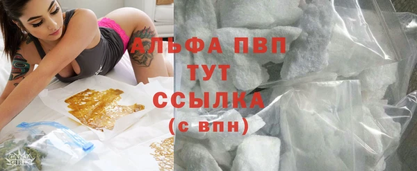 твердый Абаза