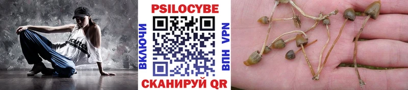 Галлюциногенные грибы GOLDEN TEACHER omg зеркало Прокопьевск цены наркотик