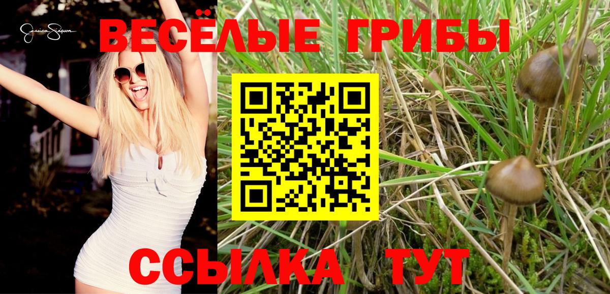 продажа наркотиков  Вход с VPN  Прокопьевск  Псилоцибиновые грибы Cubensis 